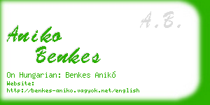 aniko benkes business card