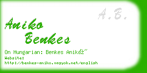 aniko benkes business card